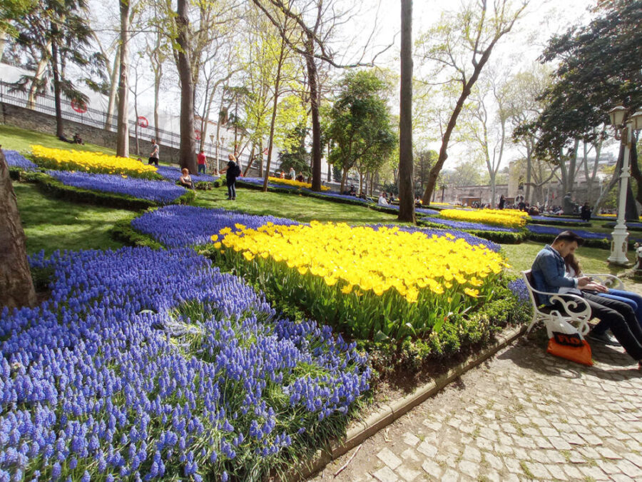 Gulhane park near Topkapi Palace during the Spring Tulip festival in Istanbul, Sultanahmet neighborhood