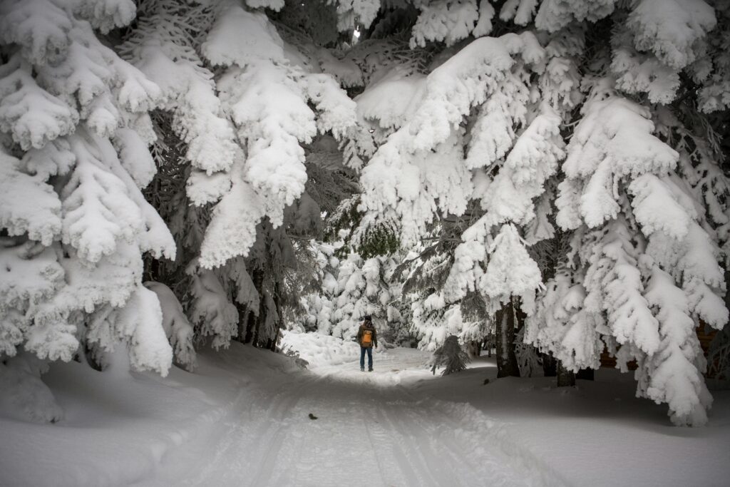 Snow landscape in Uludag Bursa - ski resort near Istanbul Turkey